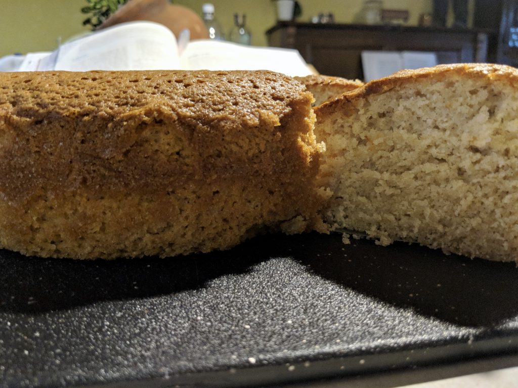 Meal 16 - Ginger Cake