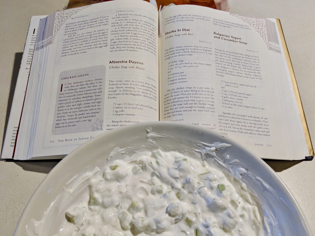 Meal 35 - Yogurt & Cucumber Soup